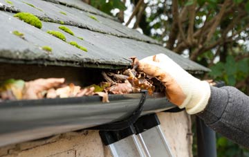 gutter cleaning Brotherlee, County Durham